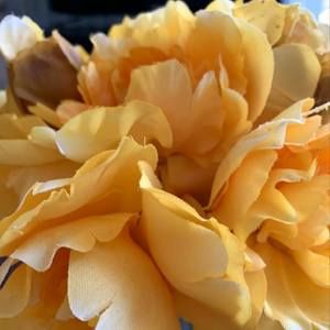 Meet your Posher, Sheila